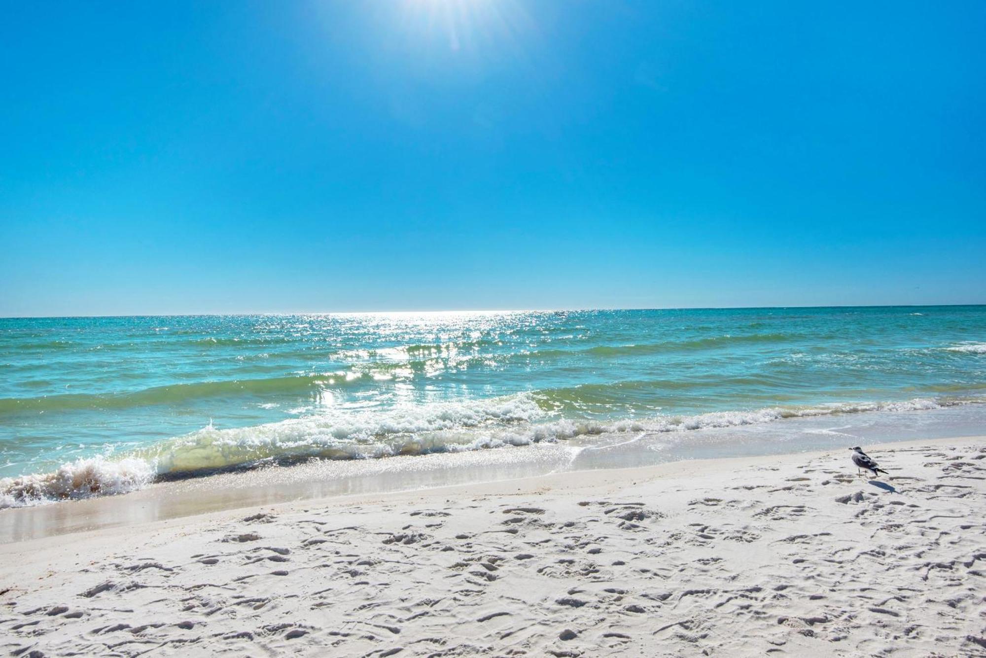 Shores Of Panama 908 Panama City Beach Exteriér fotografie